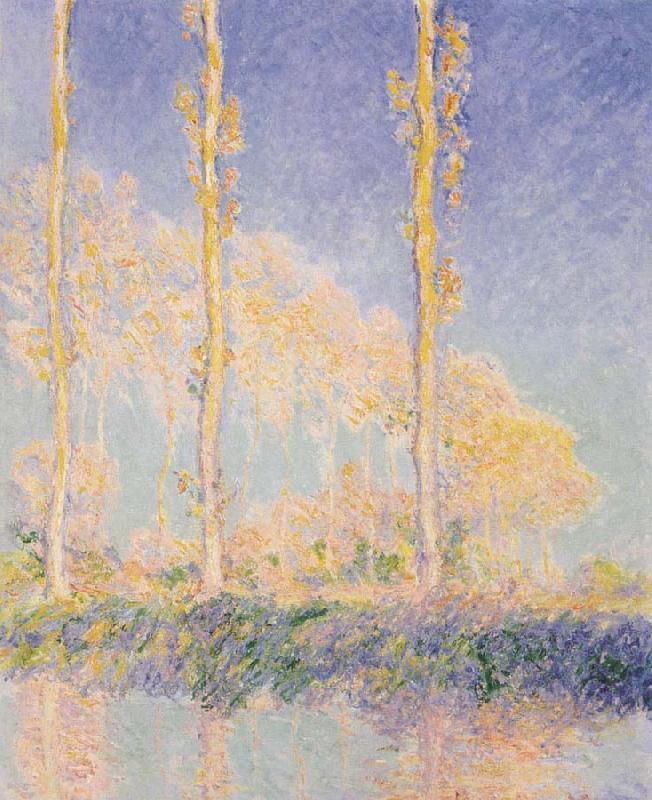 Claude Monet Three Poplars,Autumn Effect China oil painting art